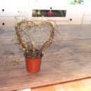 트리안약국 이미지