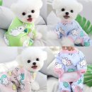 스튜디오코코 쇼핑하우