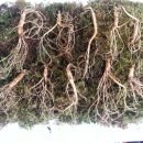 영월농장 이미지