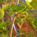 오디하우스 이미지