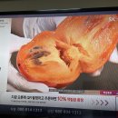 악양스토아 네이버블로그