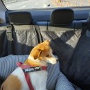 코티지 309 이미지