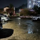 팔마가든 | 순천 오리전골 맛집 팔마가든 내돈내산 후기