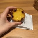 DA049 | 포르투갈 포르투에서 먹은 음식들(나타, 브런치, 뽈뽀, 해물밥 등 비교)