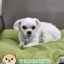 늘봄아로마테라피 이미지