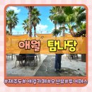 제주매직투어 | 제주 애월 카페 추천 제주투어패스 오션뷰 탐나당 방문 후기