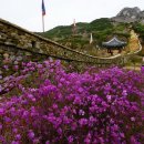 산성등산로1 이미지