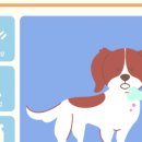 호계동물병원 이미지