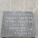 초량초등학교 이미지