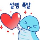 꽃집행복한집