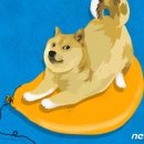 코인 이미지