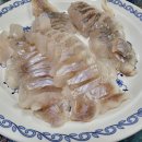 해맨호 | [일상/낚시] 안면도 내포항 선상낚시 후기_해맨호_우럭낚시/채비