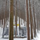 카페힐(CAFE HEAL) 이미지