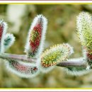 엄마국밥 이미지