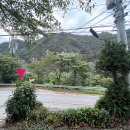 10월펜션 이미지