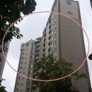 통정5로 이미지