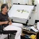 앤서니브라운 돼지책 이미지