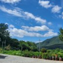 희양산토담펜션 이미지