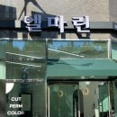 엘마린헤어 | [서울/용산] 숙대 미용실 엘마린헤어에서 받은 C컬펌 후기 (feat. 지은 디자이너)