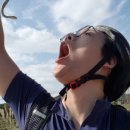 국토종주자전거길1-400 이미지