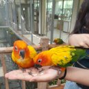 경주버드파크 이미지