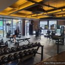 WOW GYM(와우짐) 이미지