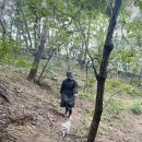 껌딱지펫 | 여주 펫마운틴 &#39;반려견 2마리, 사람 3명&#39; 방문 후기