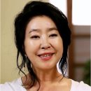 김부선 카카오 검색결과