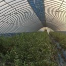 혁이농장 이미지