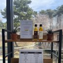 미당 | 당진 합덕 평양냉면 맛집 미당면옥 후기