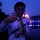 광일목욕탕 네이버블로그