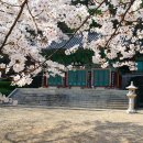 한독앵글 이미지