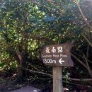 Taiwan Formosa Challenge Tour[160223][바이크로하는세계여행][대만빅스쿠터투어6일] 이미지