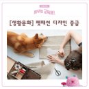 생활의상디자인(중급) | [생활문화] 펫패션 디자인 중급