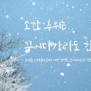 순천 아랫장 이미지