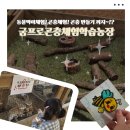 안골길 | 양평 아이와 함께 가볼만한곳 굼프로곤충체험학습농장 곤충체험 후기