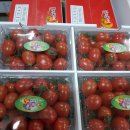 부일농장 이미지