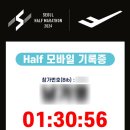 2024 대청호 벚꽃길 마라톤 대회 이미지