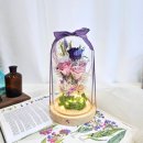 천일약품 이미지