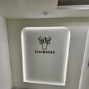 스테이 풍 이미지