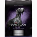 스퀘어독스 롯데남악점 이미지