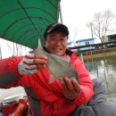 톨게이트 낚시터 이미지