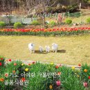 씨유 성산책길희망점 | 경기도 아이랑 가볼만한곳 율봄식물원 딸기 동물 썰매 체험 끝판왕