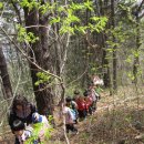 꿈나무유치원 이미지