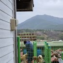 묘랑나랑 이미지