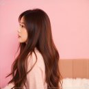 대전붙임머리 미라샵 이미지