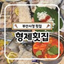 부산시청 횟집 추천 형제횟집 재오픈 가성비 횟집