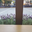 [언제든학교]힐링에세이 숲+ 가을(영흥수목원) | 5월 풍경보면서 주절주절 일기 써보기