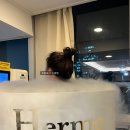 서울 다이어트 에르모 크라이오테라피 효과 및 솔직후기