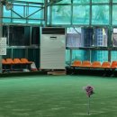 용인실내게이트볼장 이미지